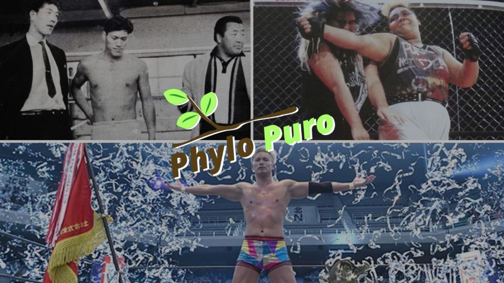 « Phylo Puro » : une histoire visuelle du catch japonais